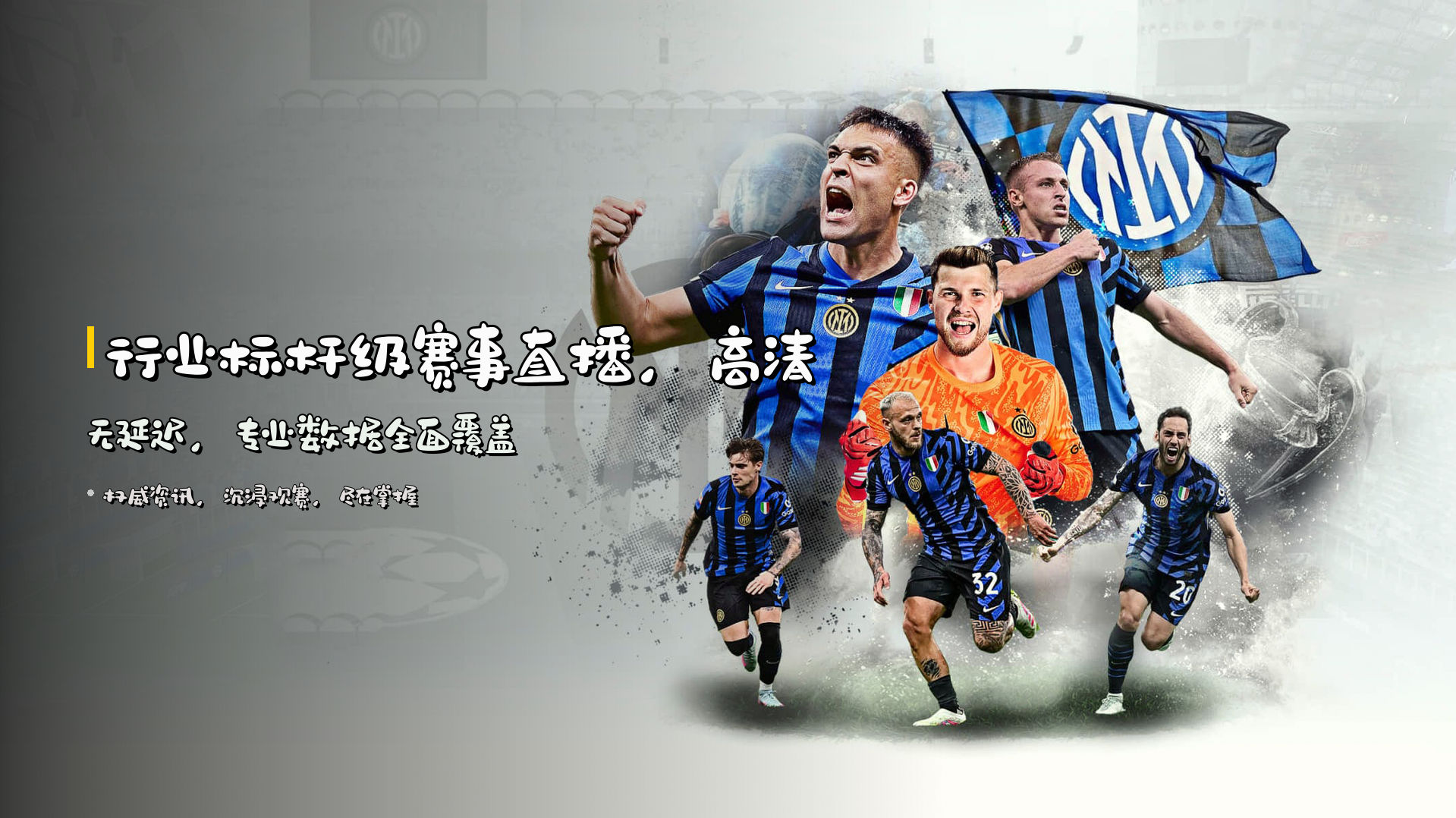 行业标杆级赛事直播，<strong>高清无延迟</strong>，专业数据全面覆盖